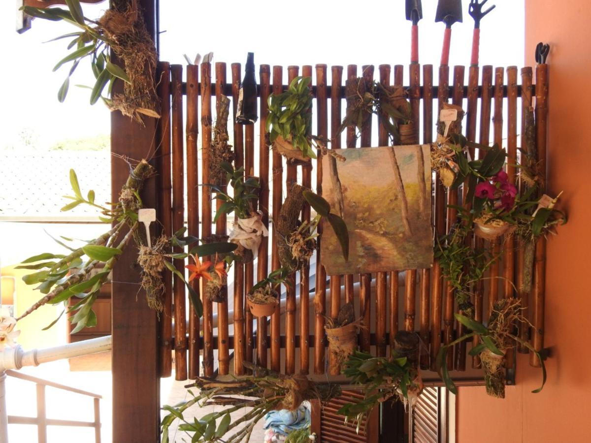 Estrela Da Manha Pousada - Centro De Aguas - Proximo Ao Thermas Aguas de Sao Pedro Ngoại thất bức ảnh