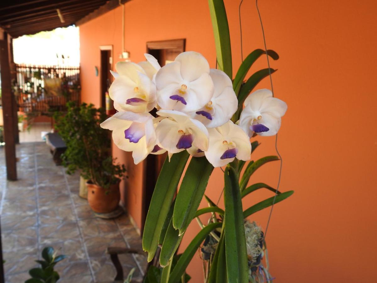 Estrela Da Manha Pousada - Centro De Aguas - Proximo Ao Thermas Aguas de Sao Pedro Ngoại thất bức ảnh