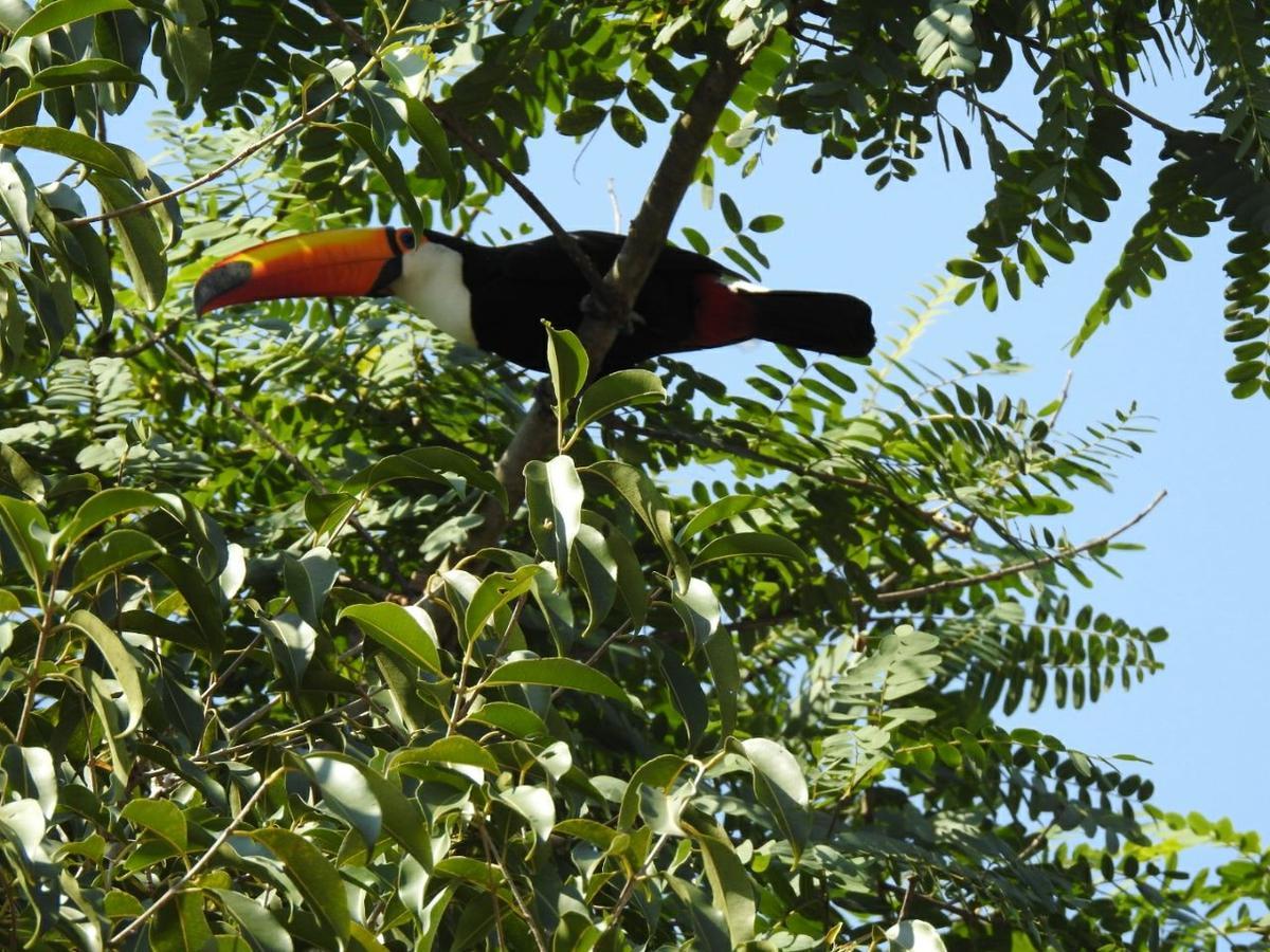 Estrela Da Manha Pousada - Centro De Aguas - Proximo Ao Thermas Aguas de Sao Pedro Ngoại thất bức ảnh